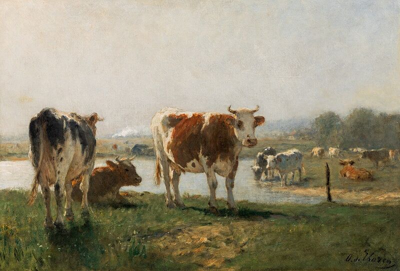 Fichier:05 Vaches a l'abreuvoir.jpg